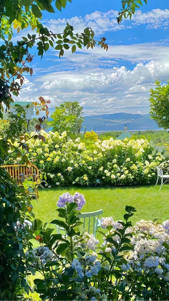 Hinh-nen-iPhone-7 (30)