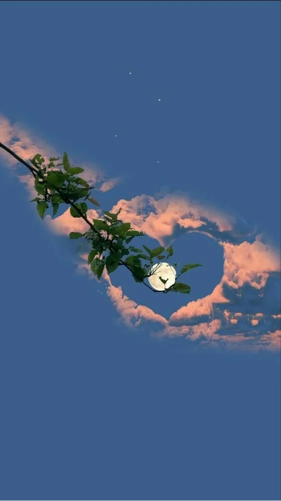 Hinh-nen-iPhone-7 (40)