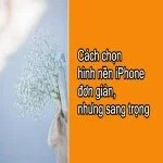 Bộ sưu tập hình nền iPhone đơn giản mà vẫn cực sang