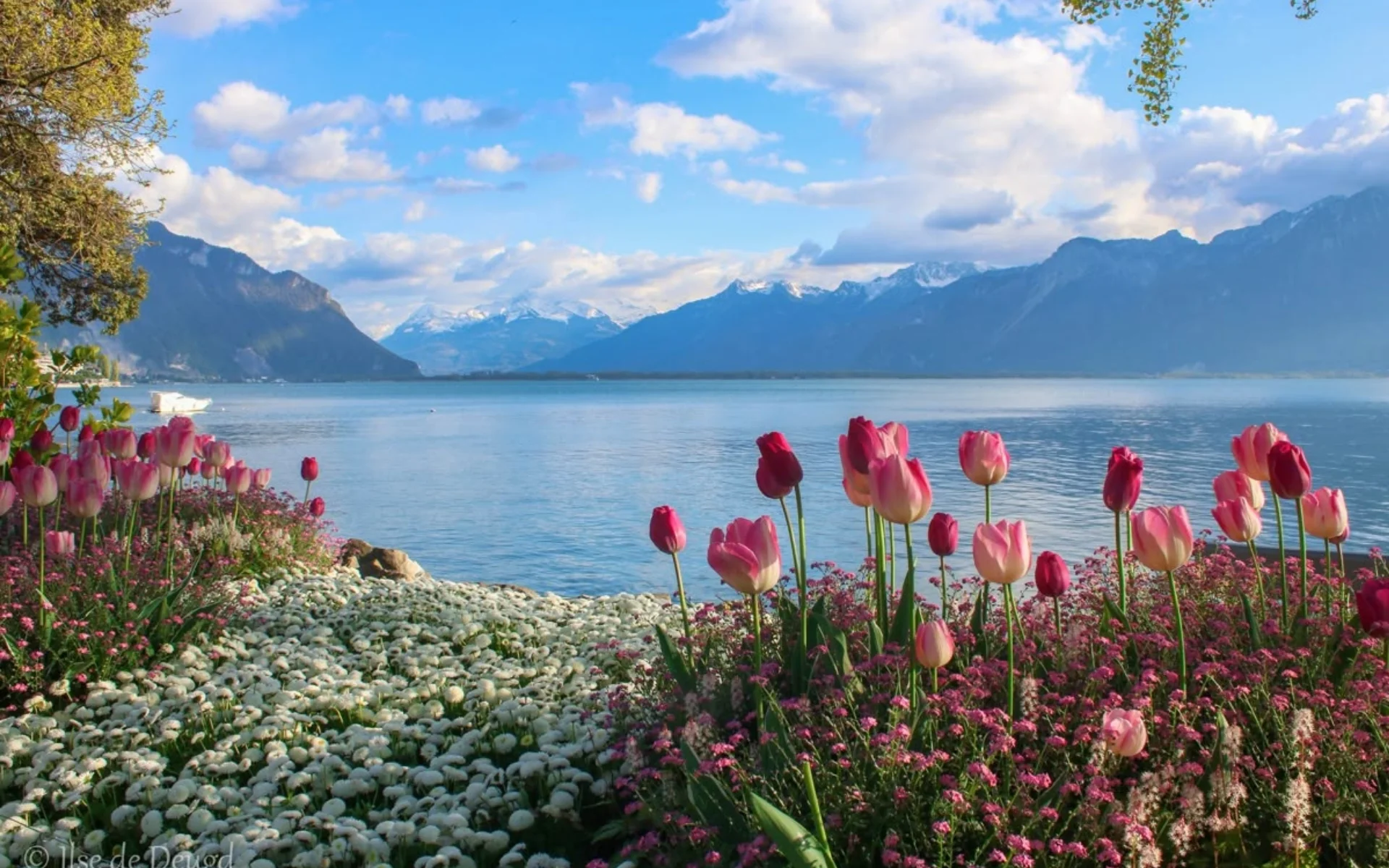 hinh-nen-laptop-vintage (13)