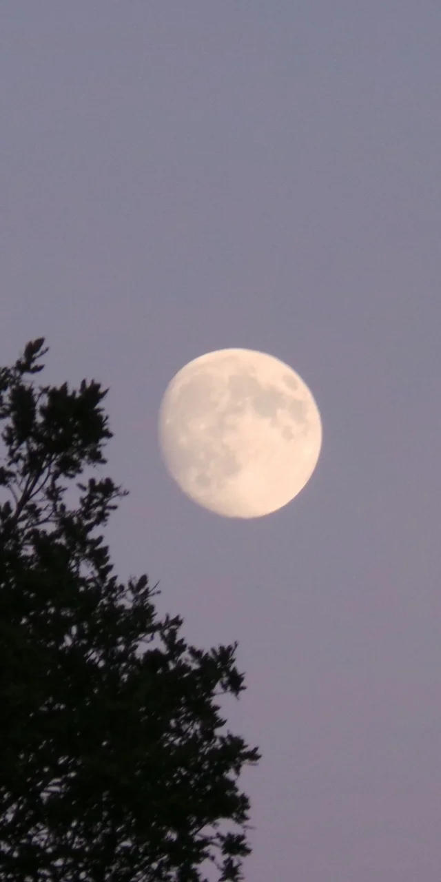 hinh-nen-mat-trang-tron-11