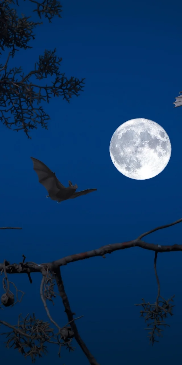 hinh-nen-mat-trang-tron-13