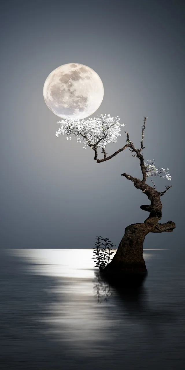 hinh-nen-mat-trang-tron-4