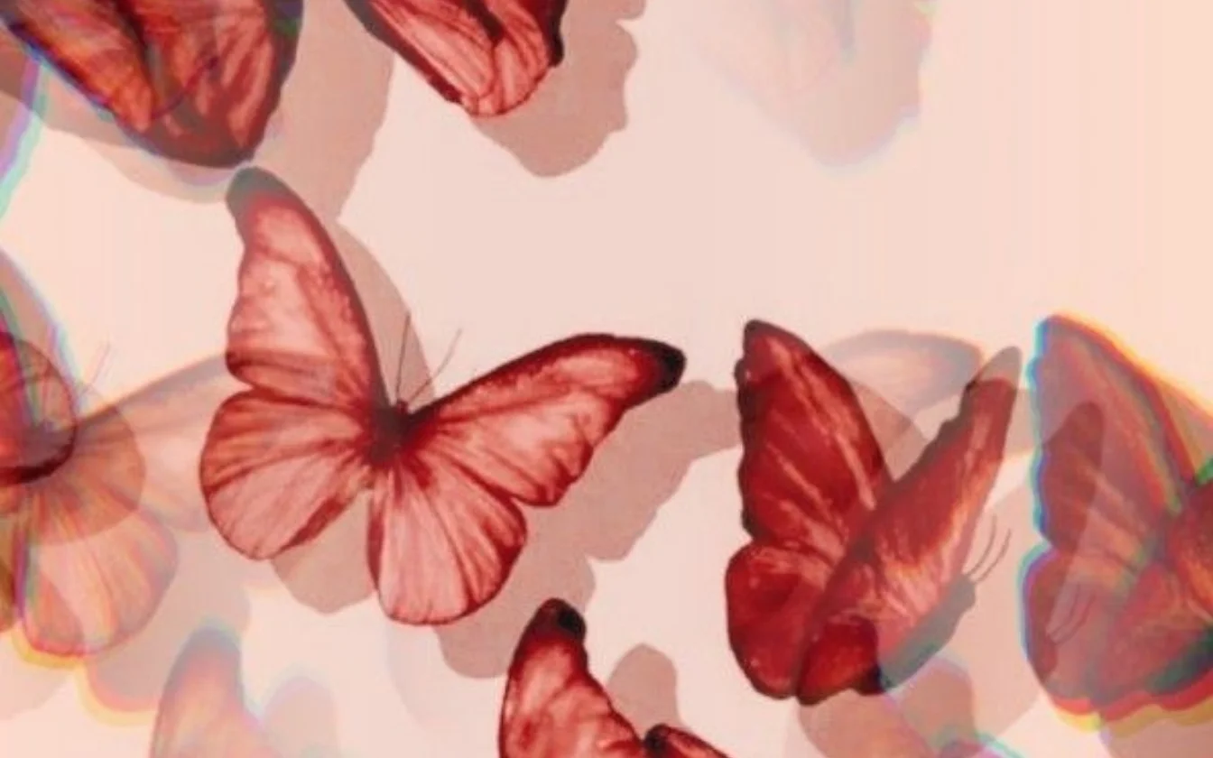 hinh-nen-mau-do-cho-may-tinh (2)