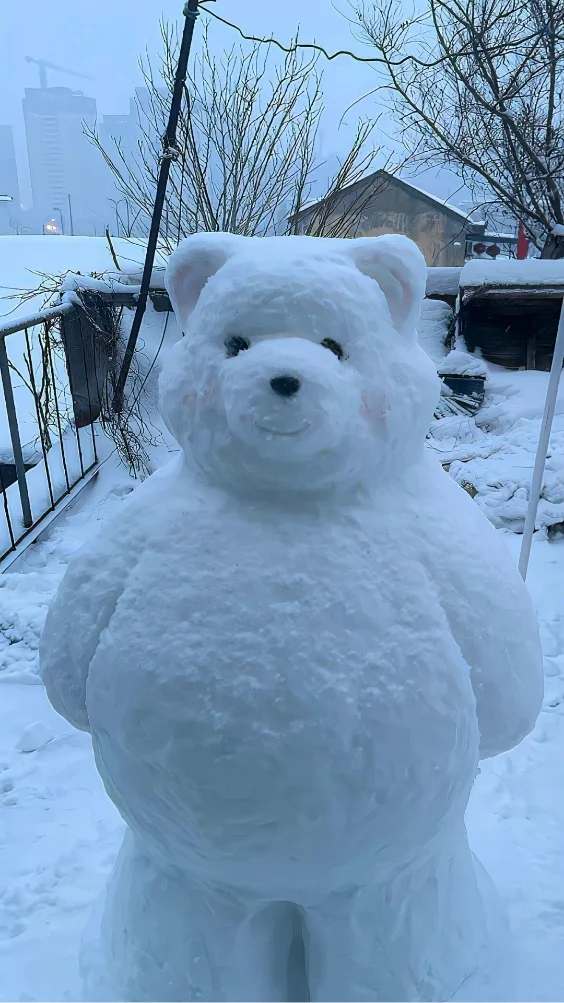 hinh-nen-mau-trang-hoa-tuyet (3)