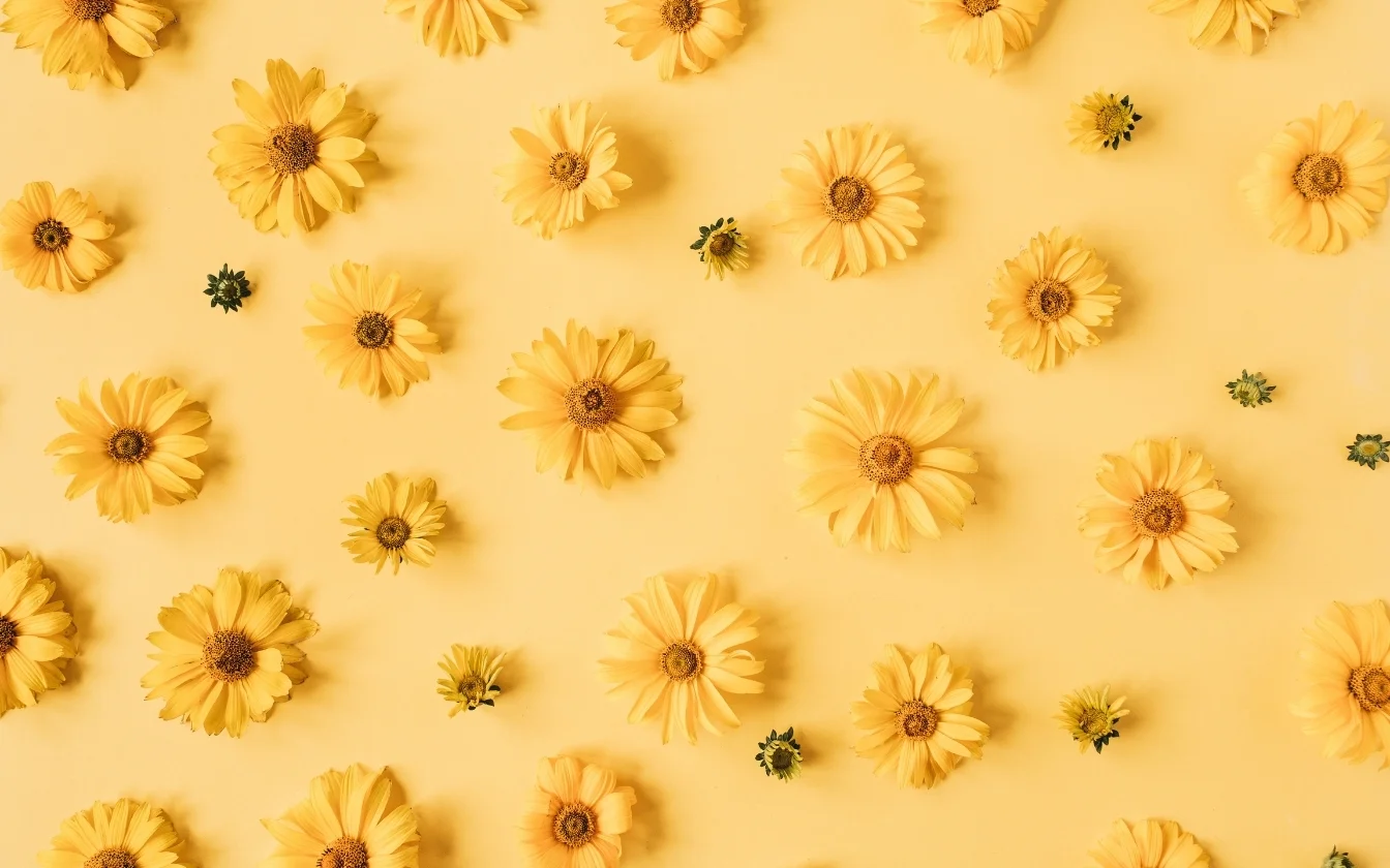 hinh-nen-mau-vang-rưc-ro-cho-laptop (6)