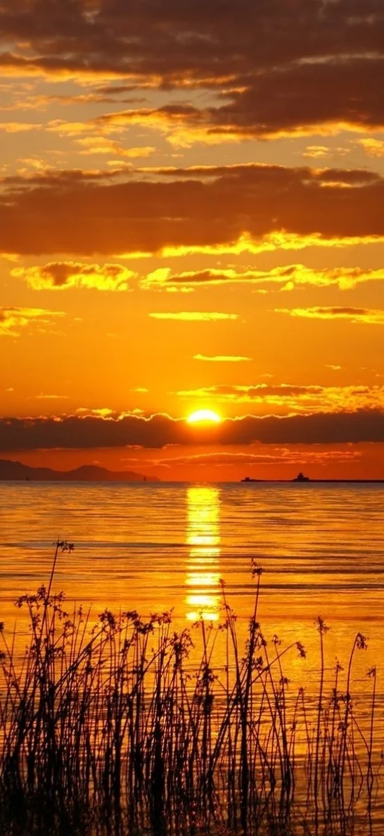 hinh-nen-may-bong-benh-dep (48)