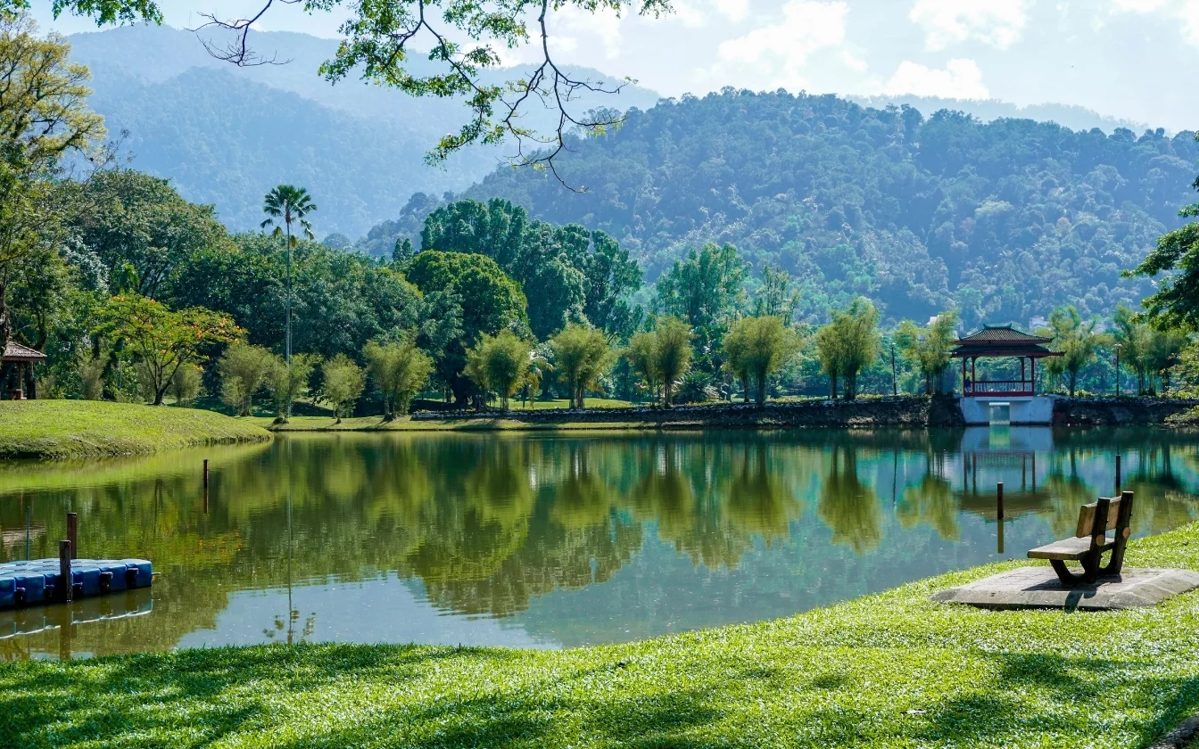 hinh-nen-may-man-cho-menh-moc-10