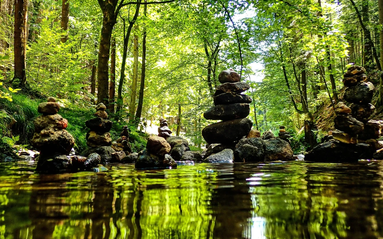 hinh-nen-may-man-cho-menh-moc-5