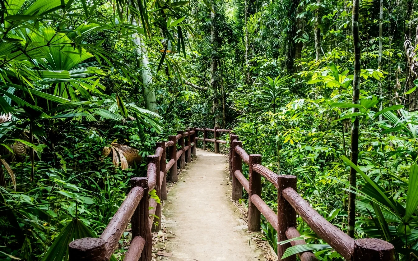 hinh-nen-may-man-cho-menh-moc-7