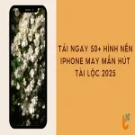 Tải ngay 50+ hình nền iPhone may mắn hút tài lộc 2025
