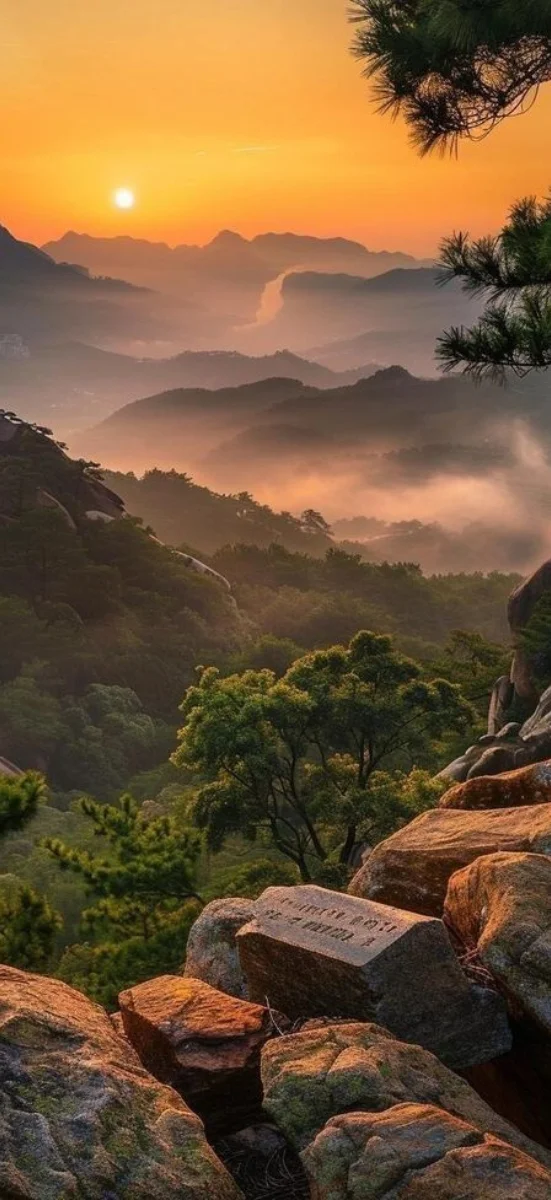 Hinh-nen-may-man-menh-tho-12