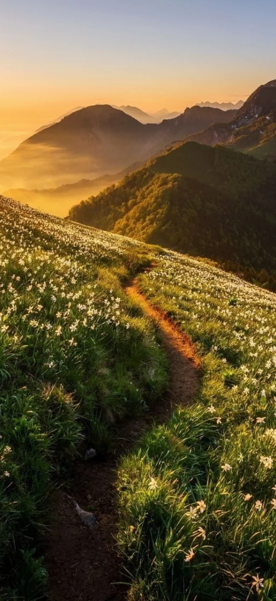 Hinh-nen-may-man-menh-tho-15