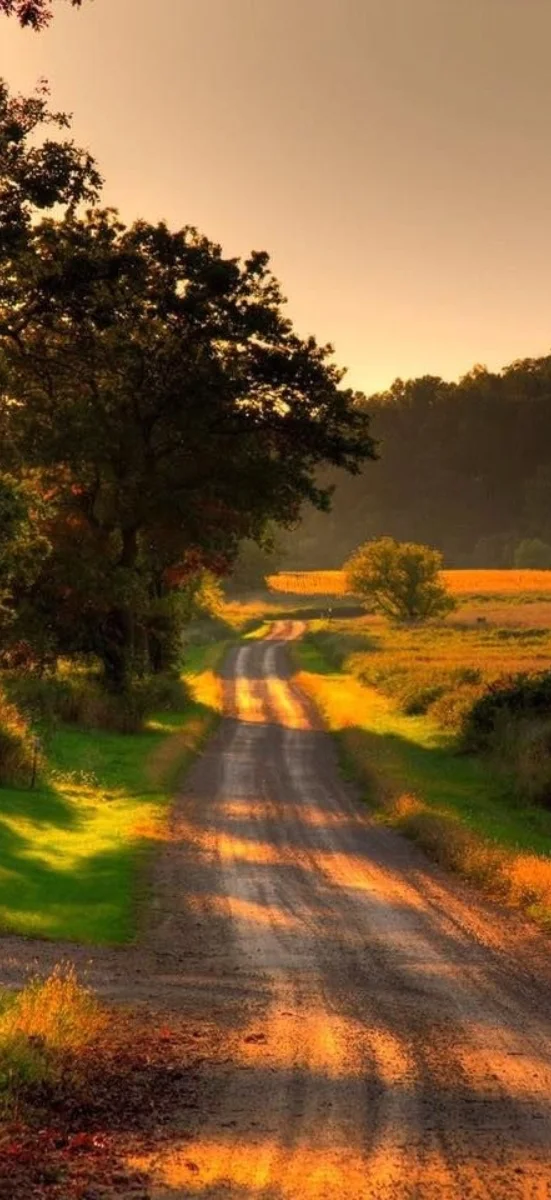 Hinh-nen-may-man-menh-tho-7