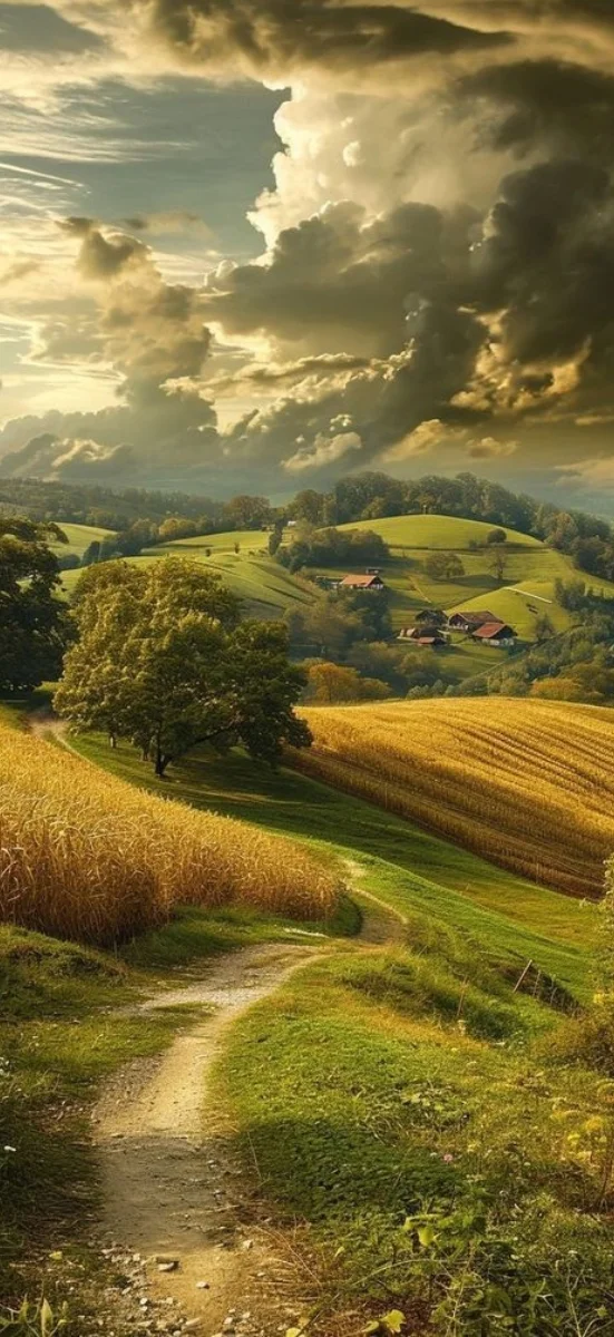 Hinh-nen-may-man-menh-tho-8