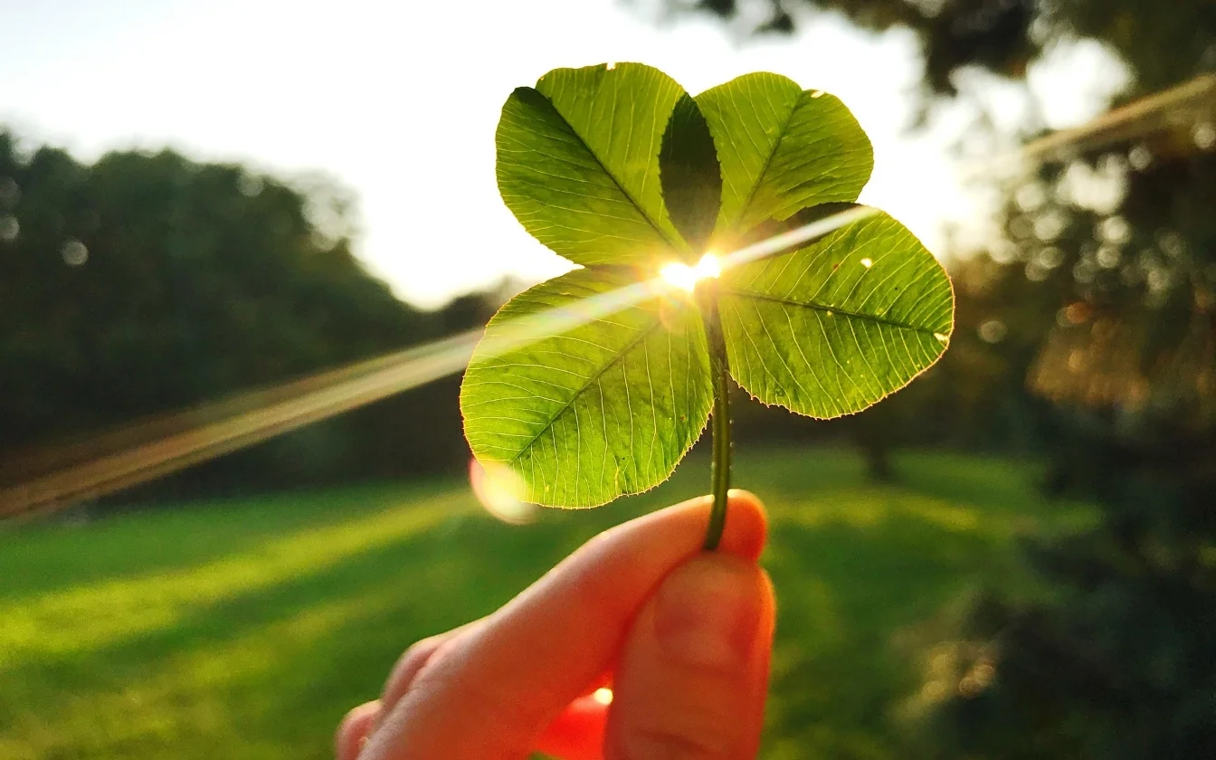 hinh-nen-may-man-trong-hoc-tap-3-1