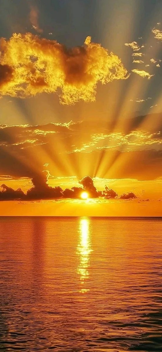 hinh-nen-menh-hoa-mat-troi-11