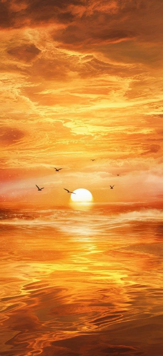 hinh-nen-menh-hoa-mat-troi-12