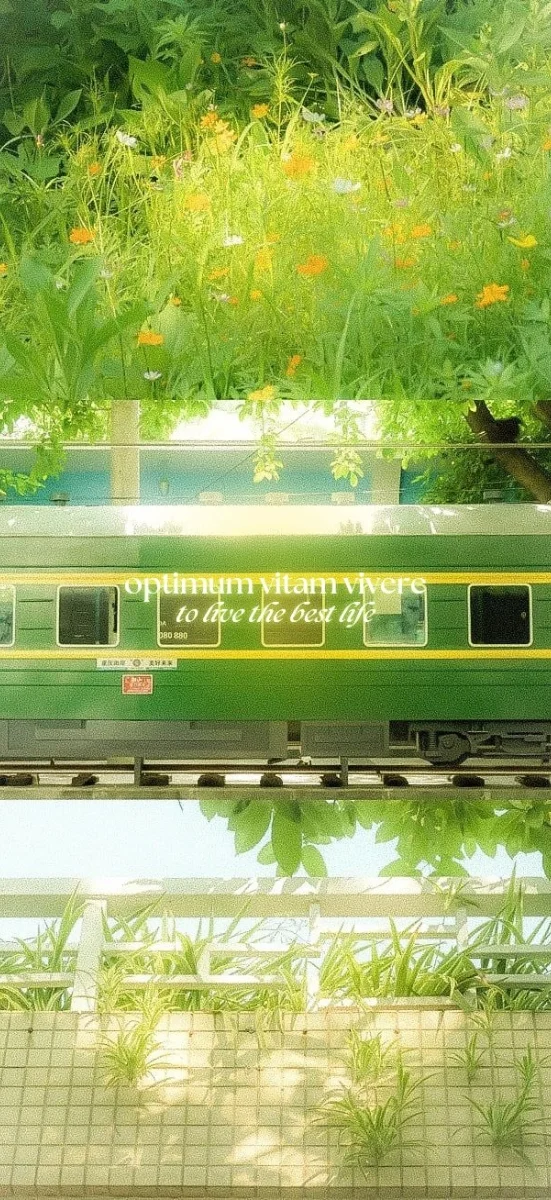 hinh-nen-menh-moc-13