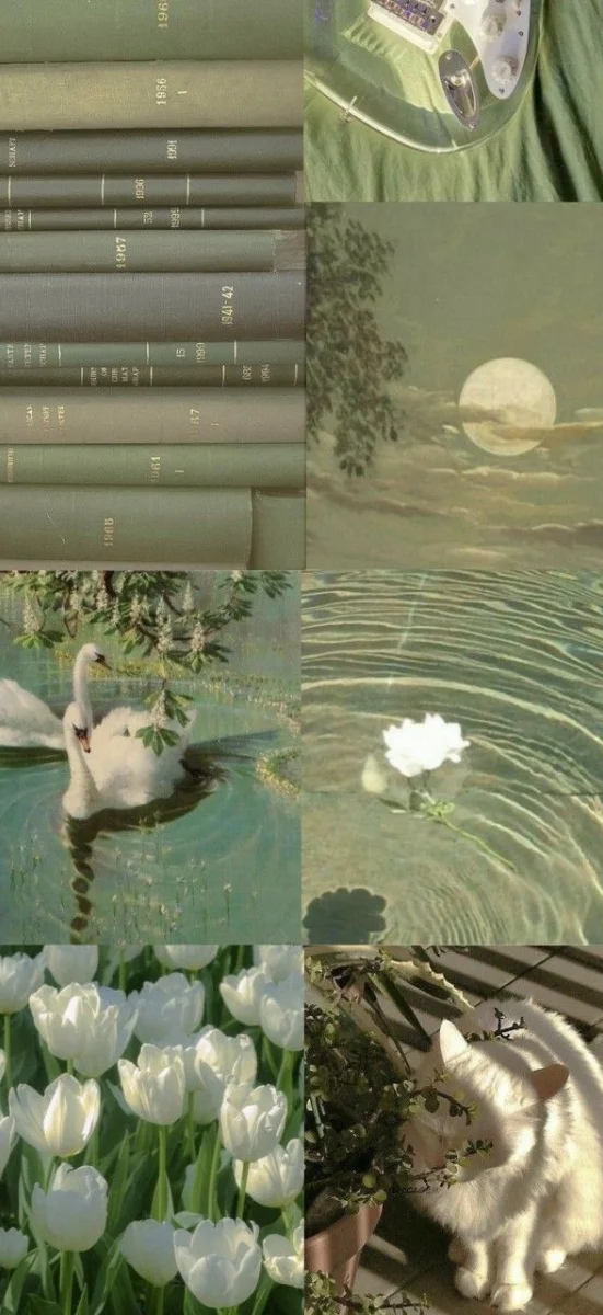 hinh-nen-menh-moc-14