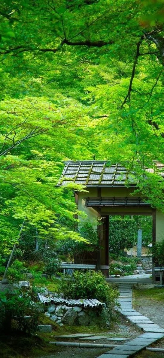 hinh-nen-menh-moc-22