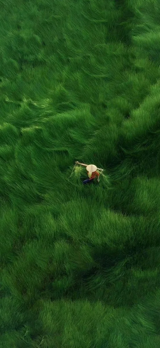 hinh-nen-menh-moc-38-1