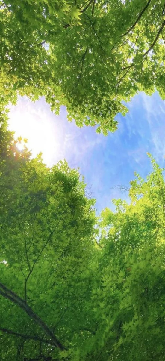 hinh-nen-menh-moc-38