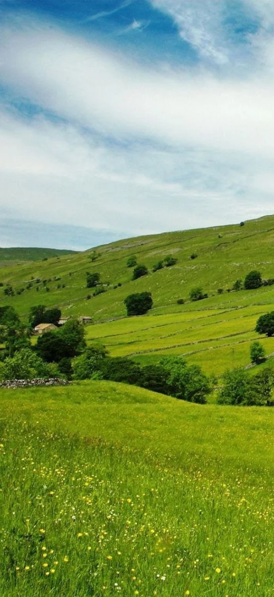 hinh-nen-menh-moc-41