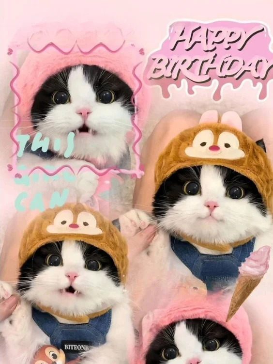 Hinh-nen-meo-cute (6)