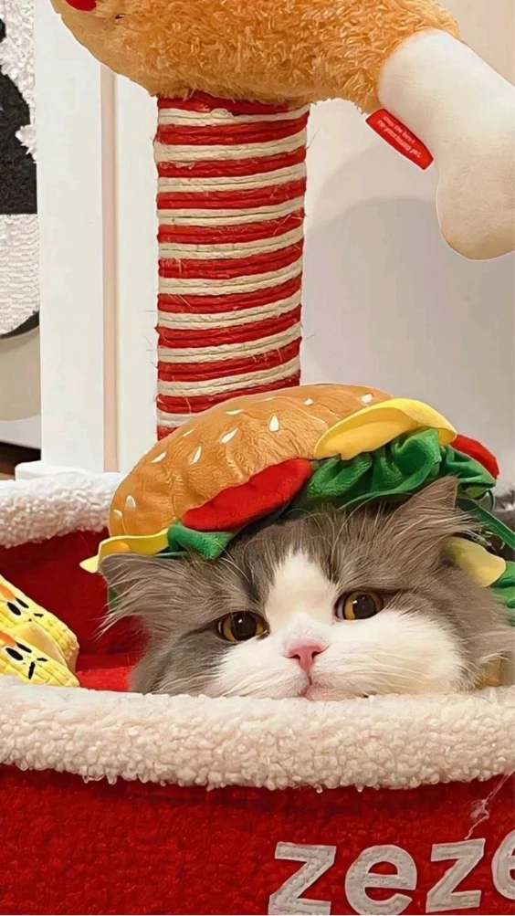 Hinh-nen-meo-de-thuong (22)