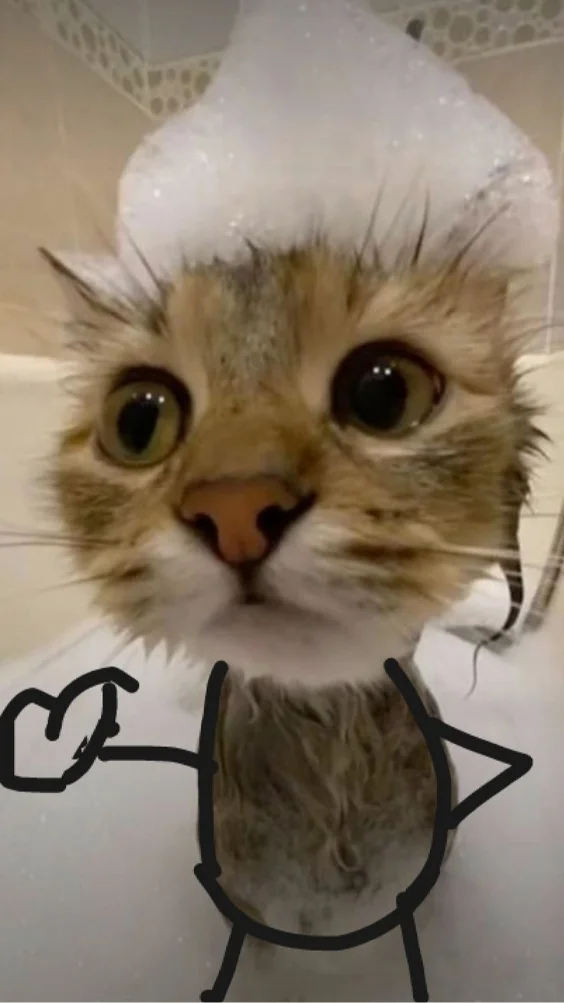 Hinh-nen-meo-ngau (20)