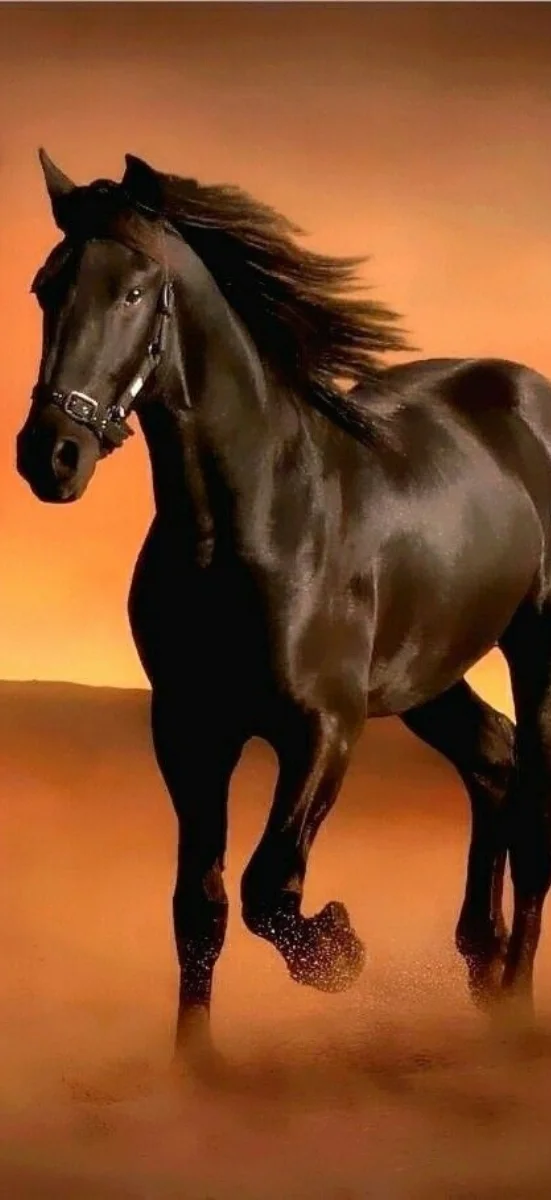 hinh-nen-ngua-dep (25)