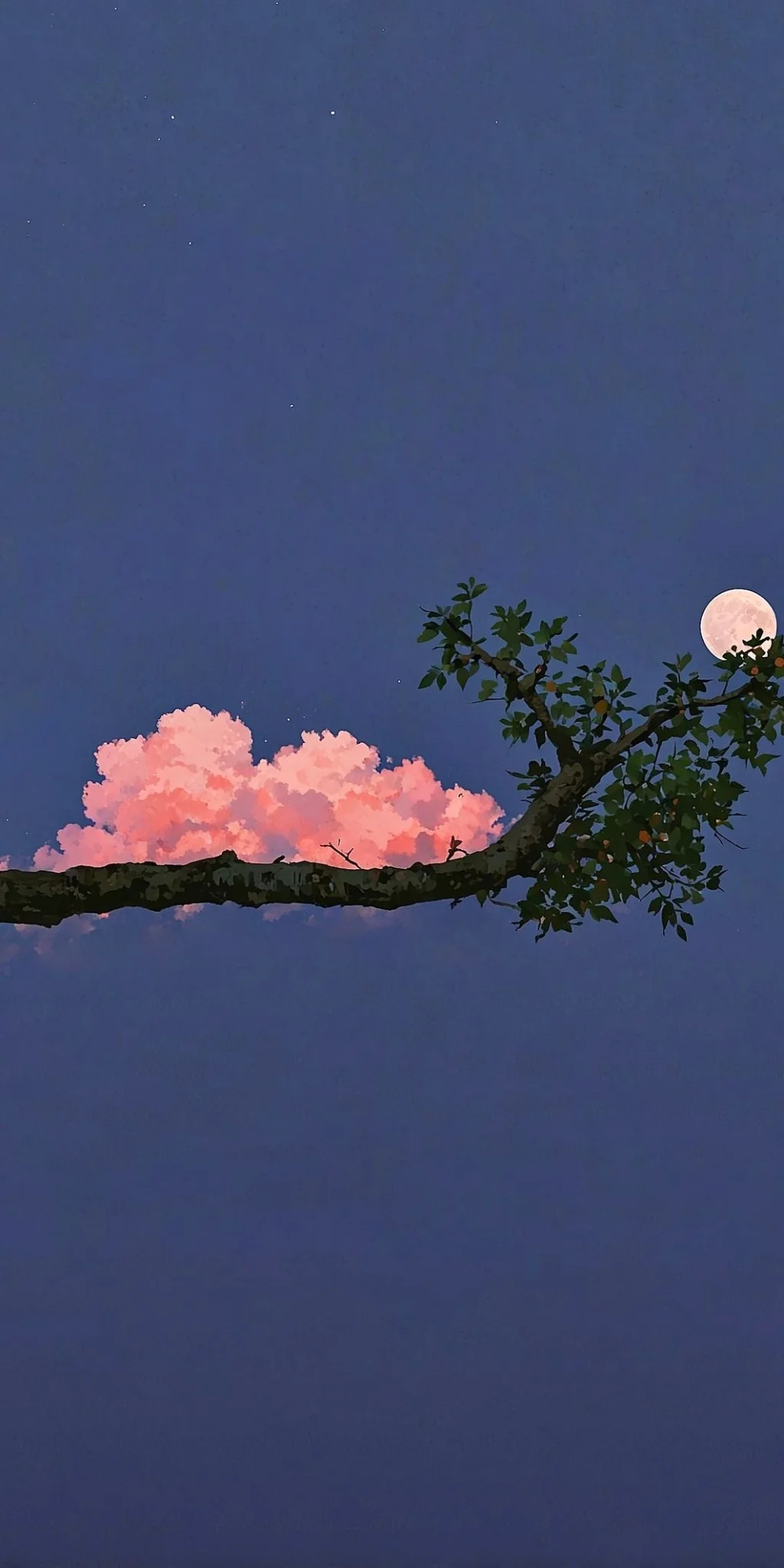 hinh-nen-phong-canh-iphone-15 (6)