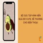 Bộ sưu tập 50+ hình nền quả bơ dễ thương cho điện thoại