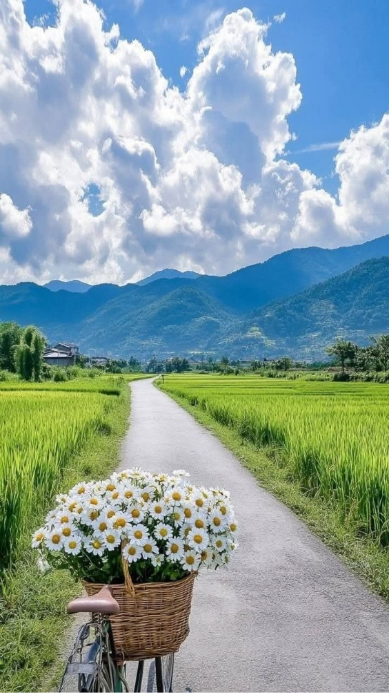 hinh-nen-thien-nhien-10