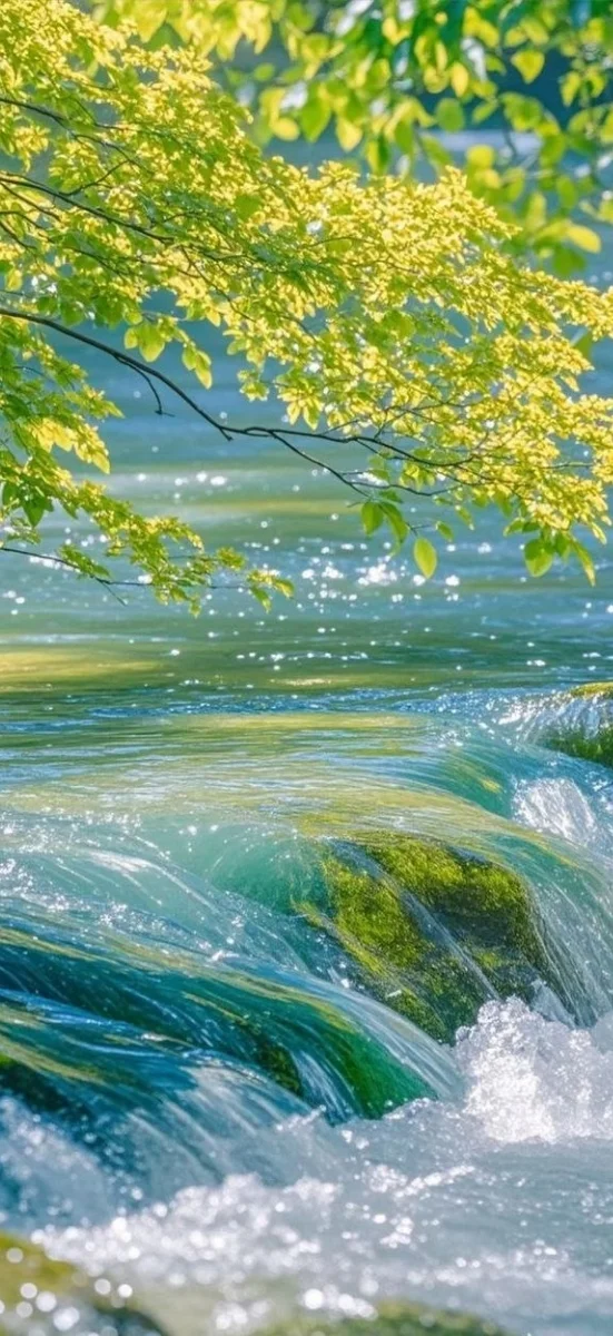 hinh-nen-thien-nhien (11)