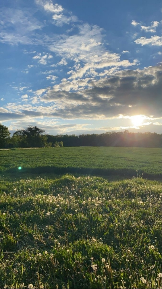 hinh-nen-thien-nhien-8