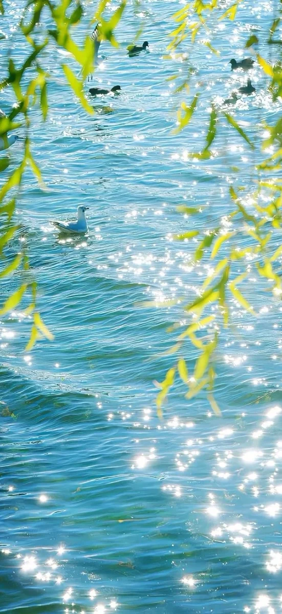 hinh-nen-thien-nhien (9)