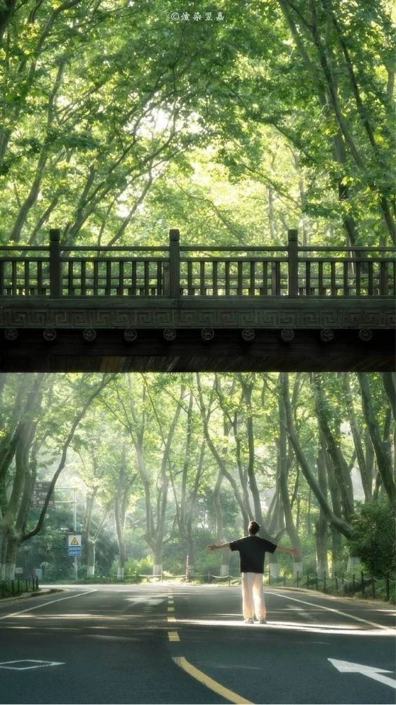 Hinh-nen-thien-nhien-canh-rung-xanh (11)