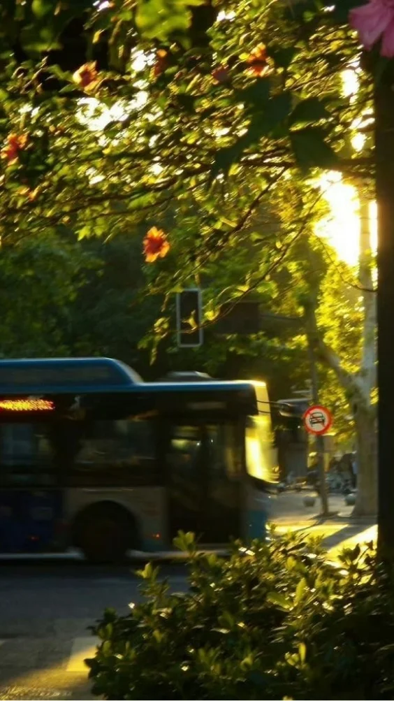 Hinh-nen-thien-nhien-canh-rung-xanh (12)