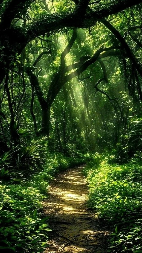 Hinh-nen-thien-nhien-canh-rung-xanh (14)