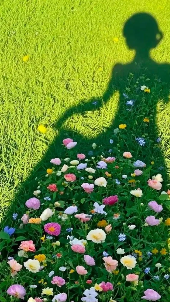 Hinh-nen-thien-nhien-canh-rung-xanh (17)