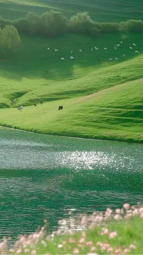 Hinh-nen-thien-nhien-canh-rung-xanh (3)