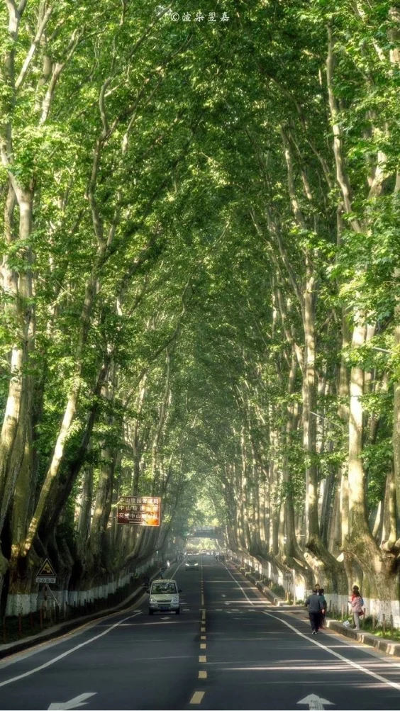 Hinh-nen-thien-nhien-canh-rung-xanh (9)