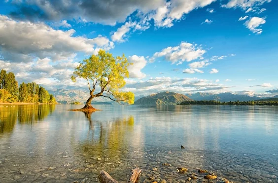 Hình nền thiên nhiên dành cho máy tính 12