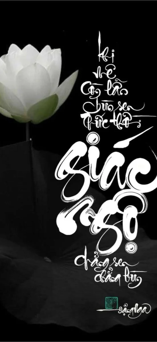 hinh-nen-thu-phap (43)