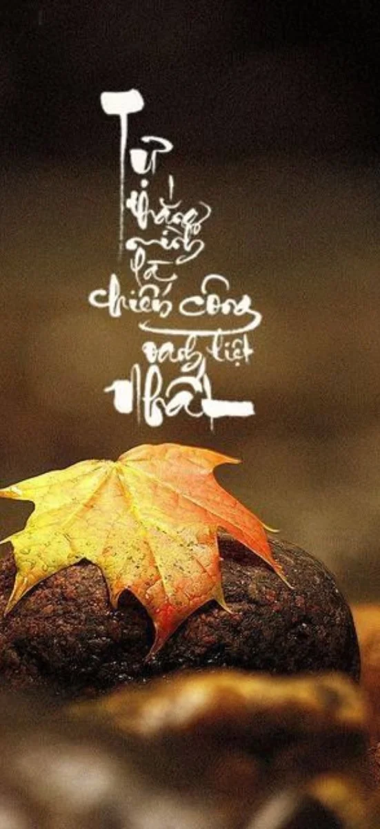 hinh-nen-thu-phap (47)