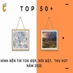 Tải ngay 50+ hình nền Tik Tok chất lượng cao cho điện thoại