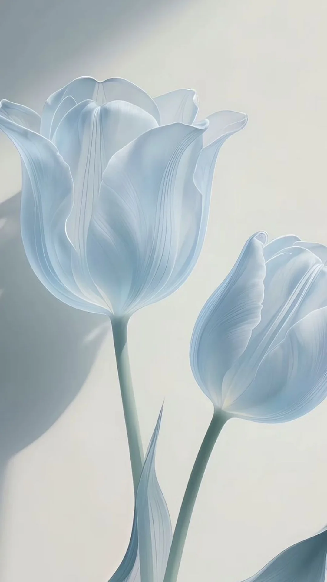 hinh-nen-tik-tok-phong-canh-16