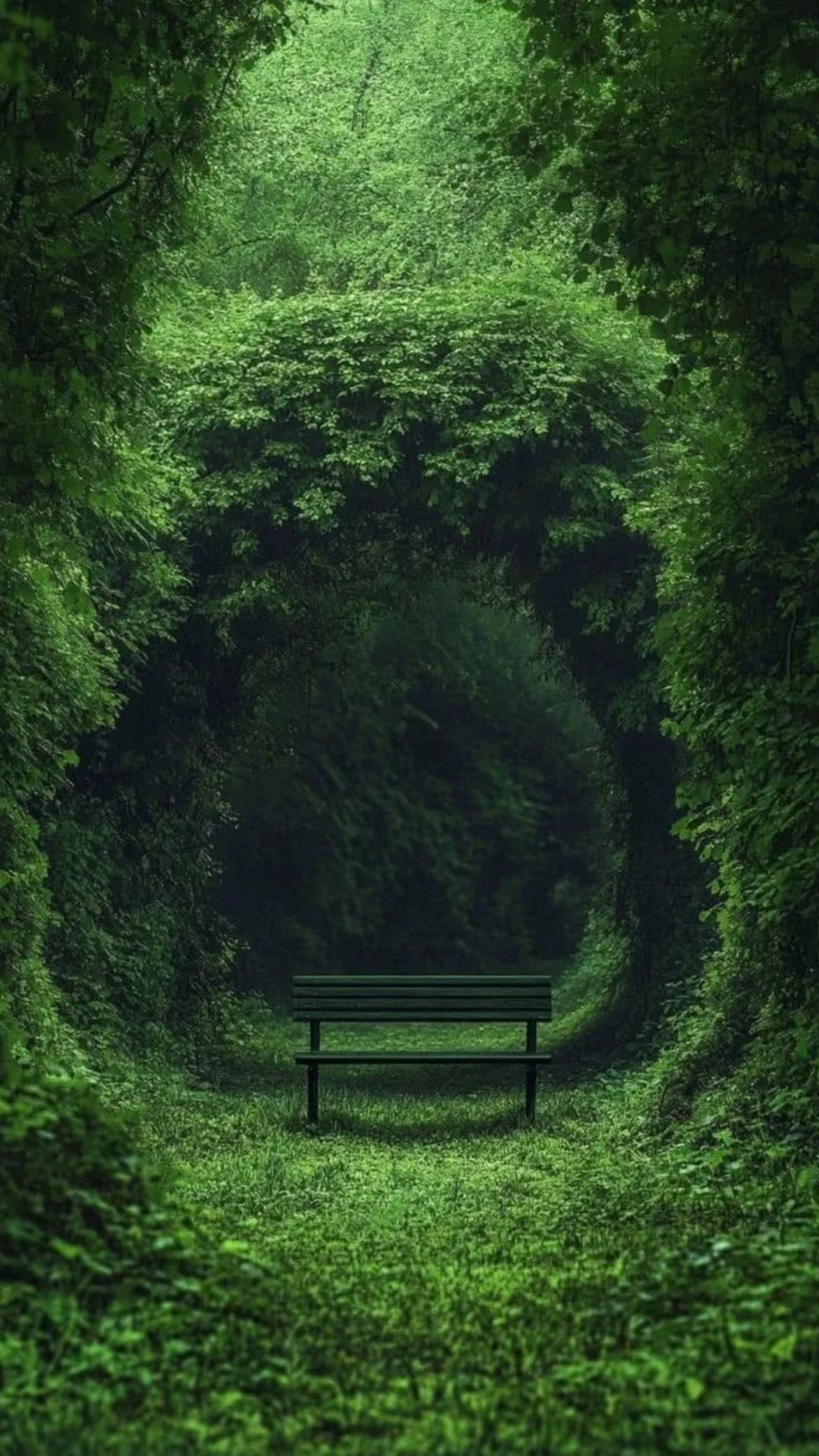 hinh-nen-tik-tok-phong-canh-8